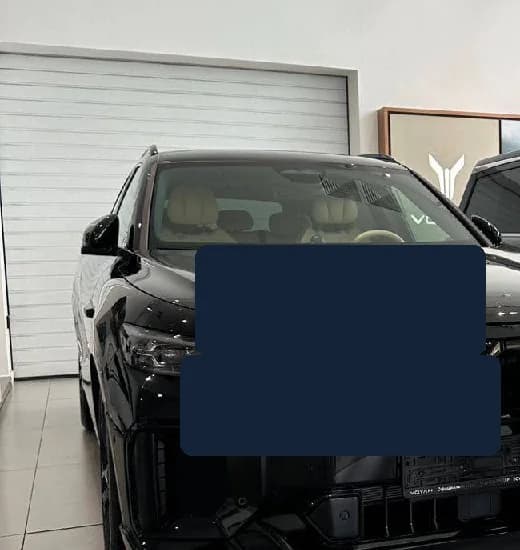 Voyah Free на выдаче