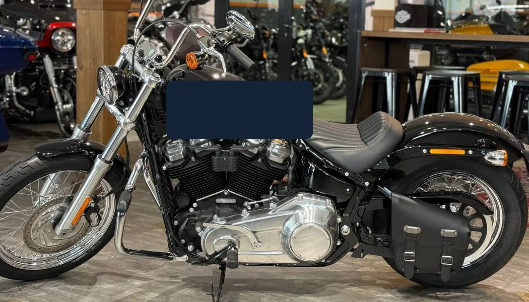 Harley-Davidson на выдаче